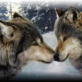 62Patty686