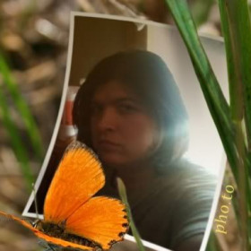 agridoceprosaagridoce